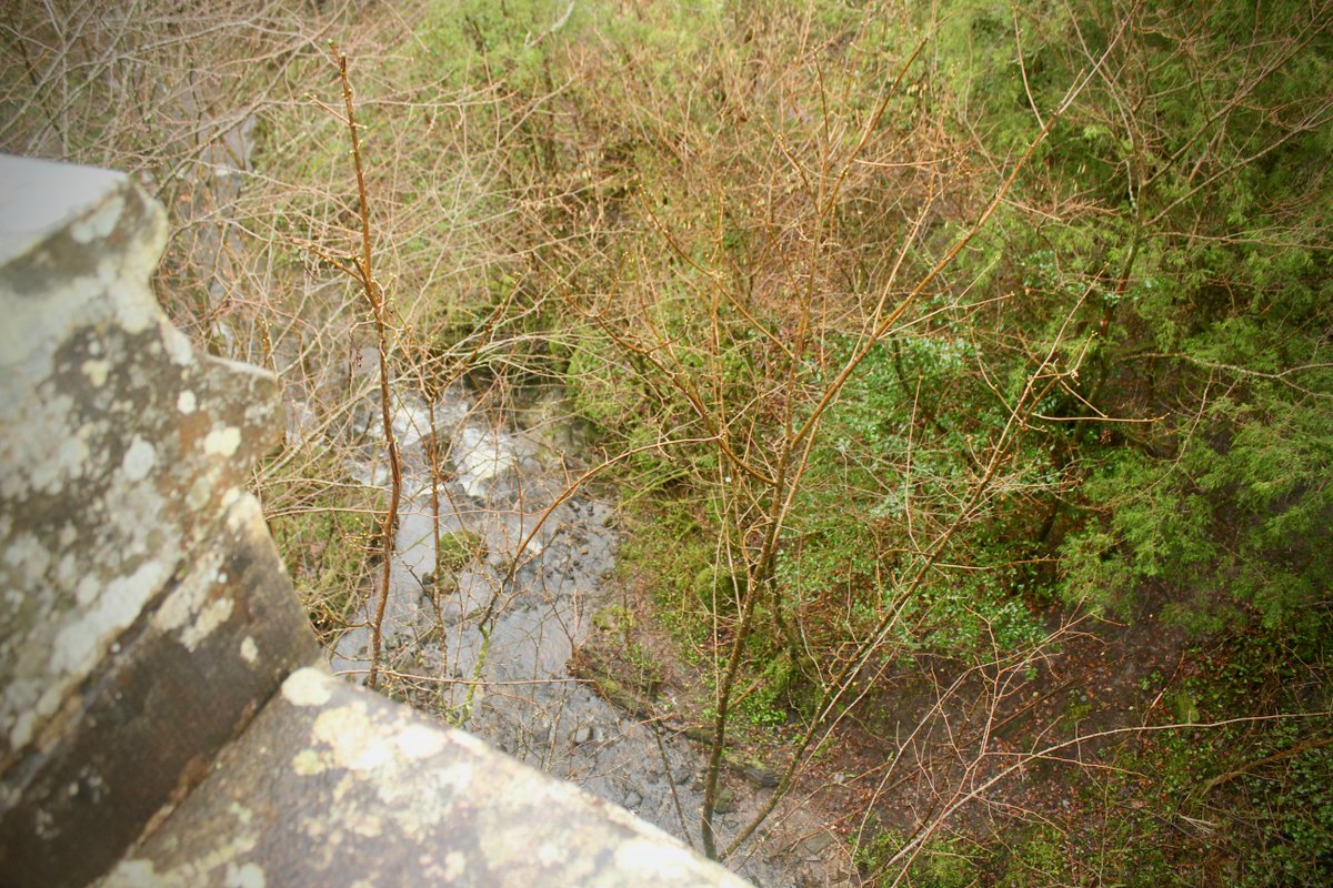 The Bell tweet media