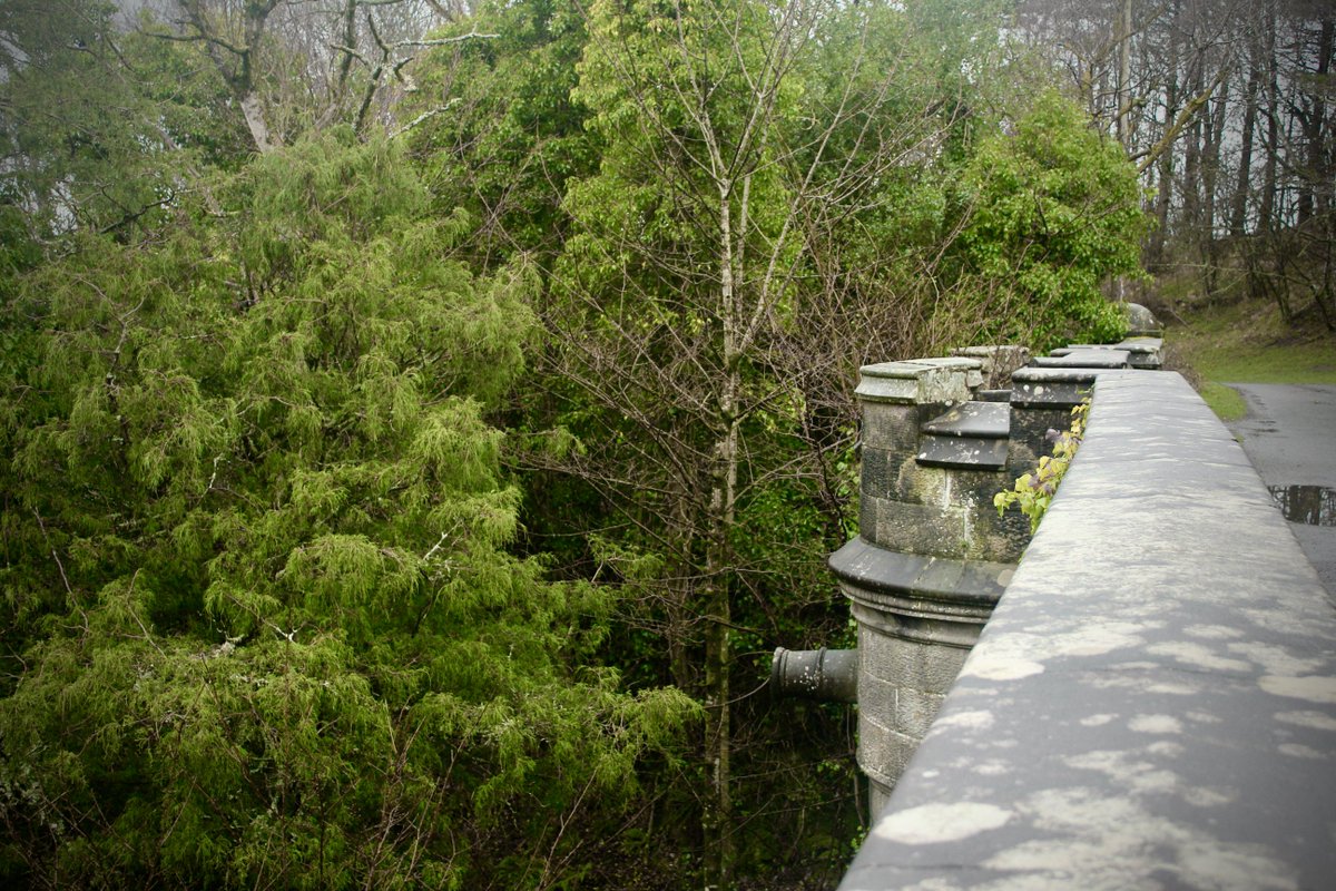 The Bell tweet media