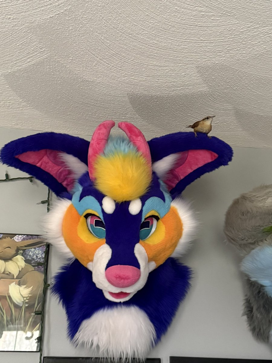 🫧Remix!🫧 tweet media