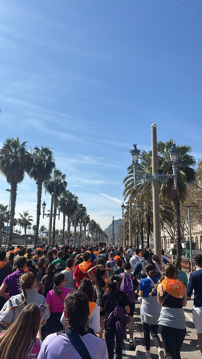 Peio🇵🇸🇺🇦 tweet media