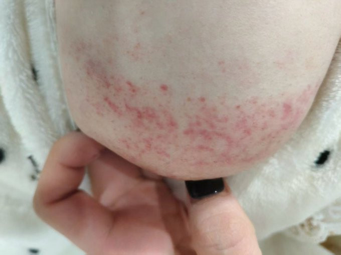 芝士塔 tweet media