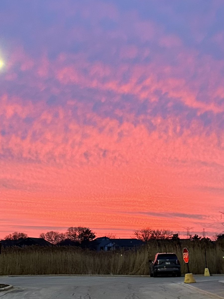 Fitz🍀 tweet media