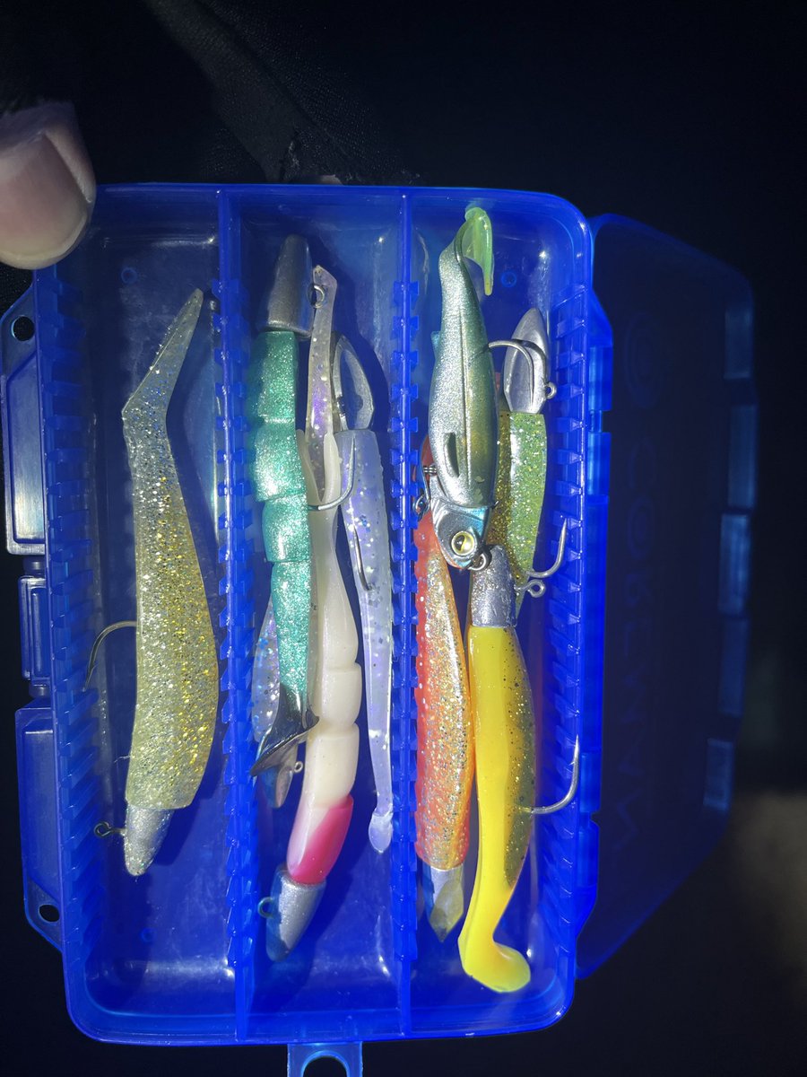 荒川バチ抜けシーバス！！
先行者が帰ろうとしてたので声かけたら、少しは抜けたみたい！
足元照らすとハクがいっぱい！
バチルアー以外のルアー置いてきたと思ったらソフトルアーが！
ハクパターン釣ったことないから釣り方わからなかった笑
記録撮影したらボイル始まるし、片付けたらボイル始まる。