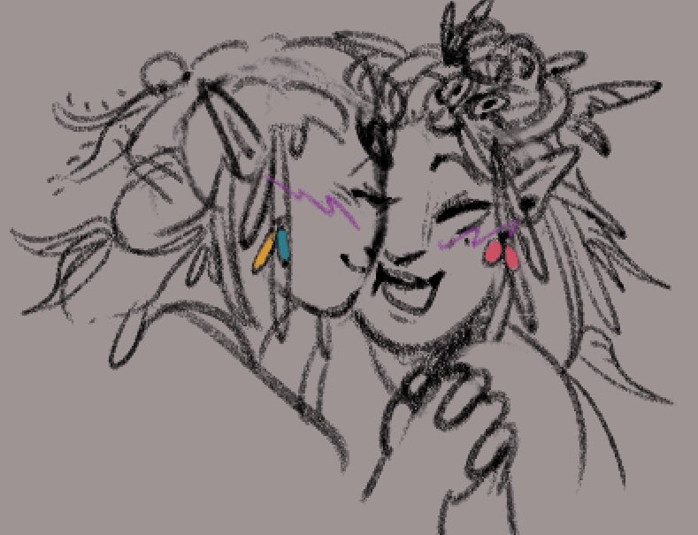 Stelleri tweet media