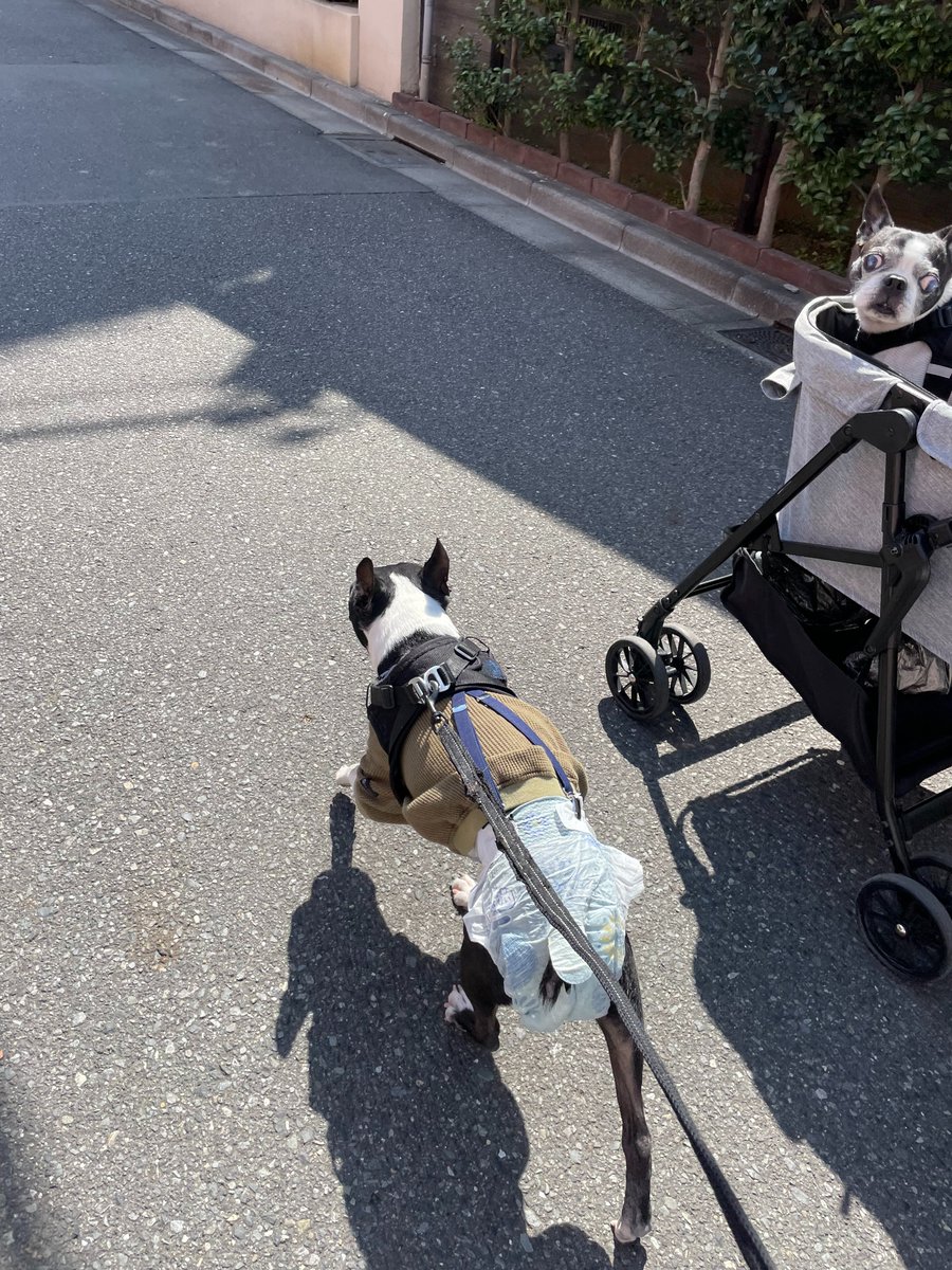 Shigetsu Takayama tweet media