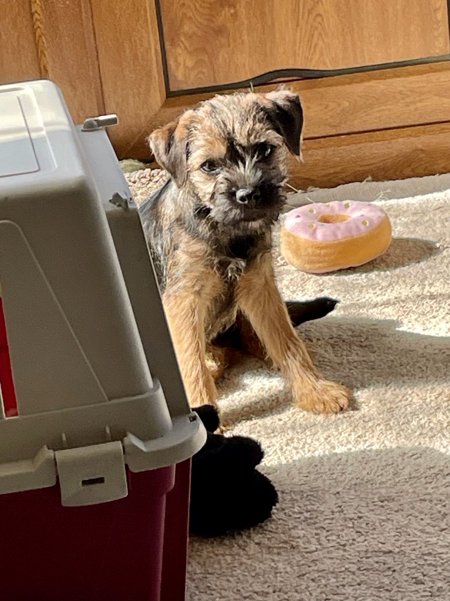 Chris Broom tweet media