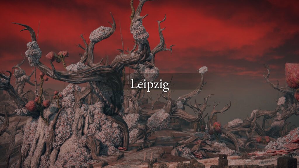 Alexander tweet media