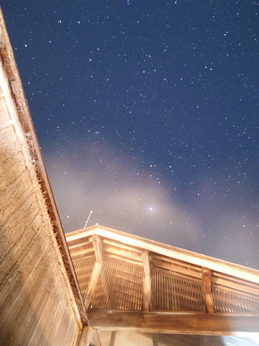 草津JCT フォールガイズ tweet media