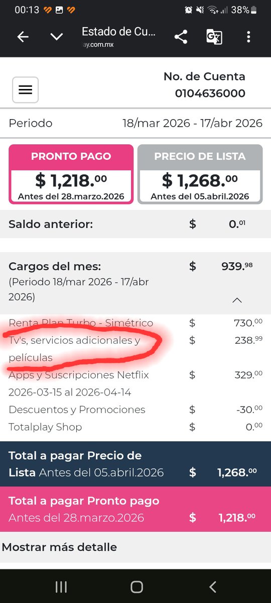 Alejandra tweet media