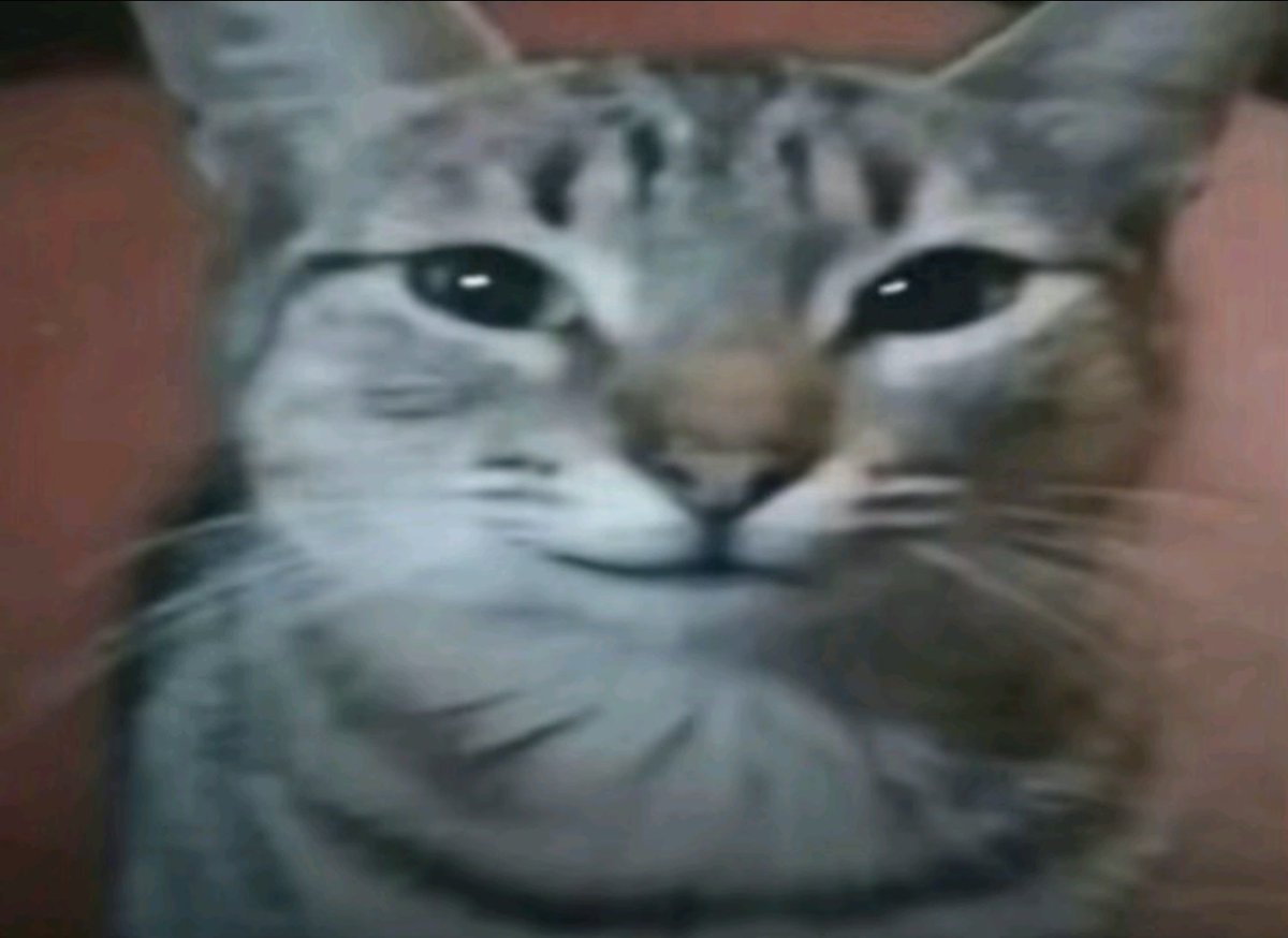 Deli 🍅 tweet media