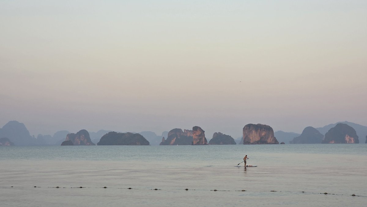 Yaro | cryptoBRO.co tweet media