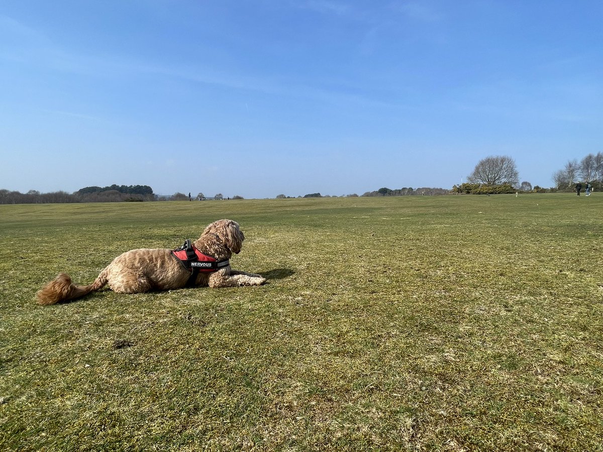 ®️🅰️Dℹ️💲♓️ tweet media