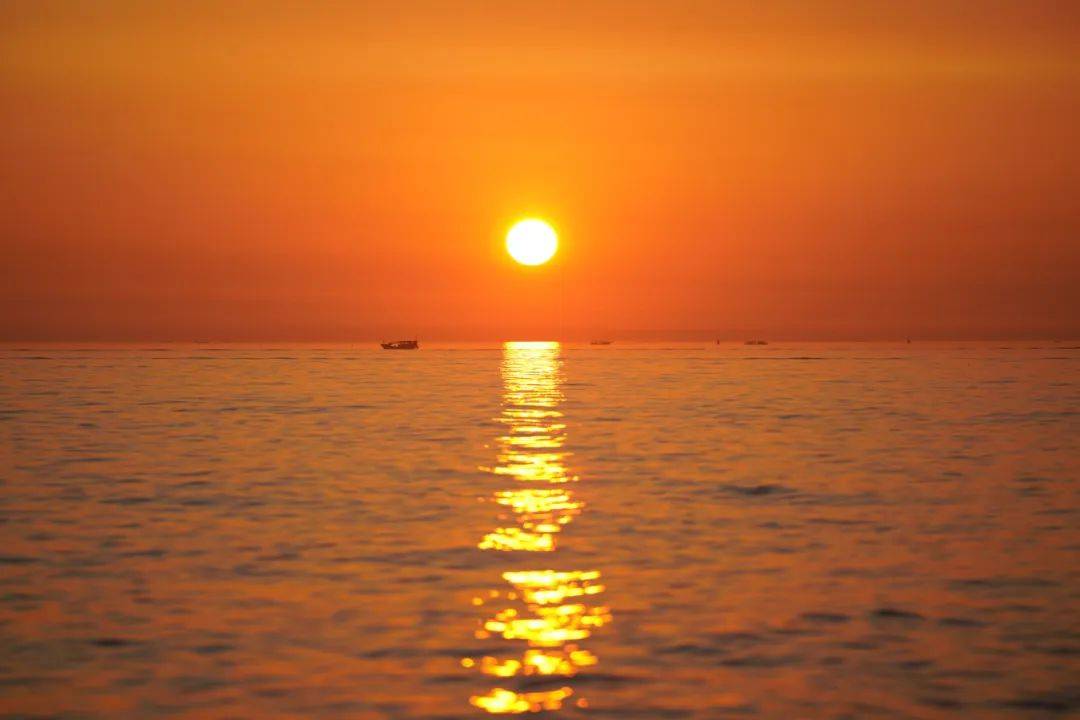 L.W.D. Chambers tweet media