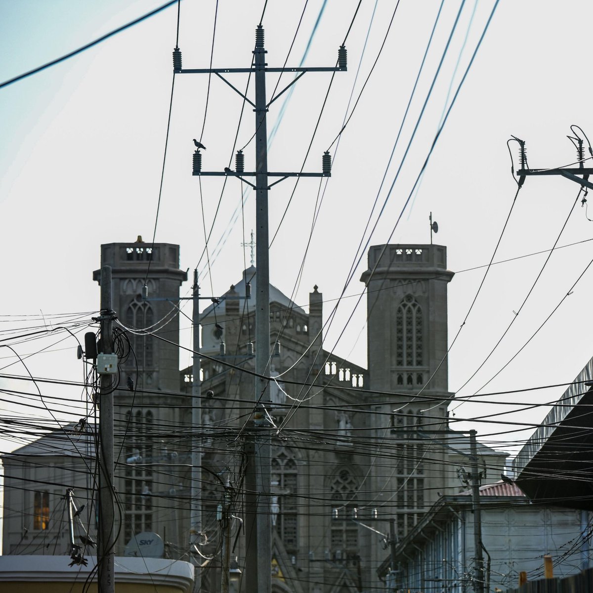 Abrace a Tradição tweet media