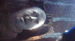 Sarah Cooper tweet media