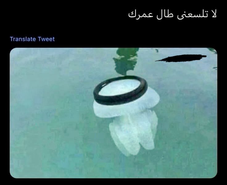 محمد tweet media