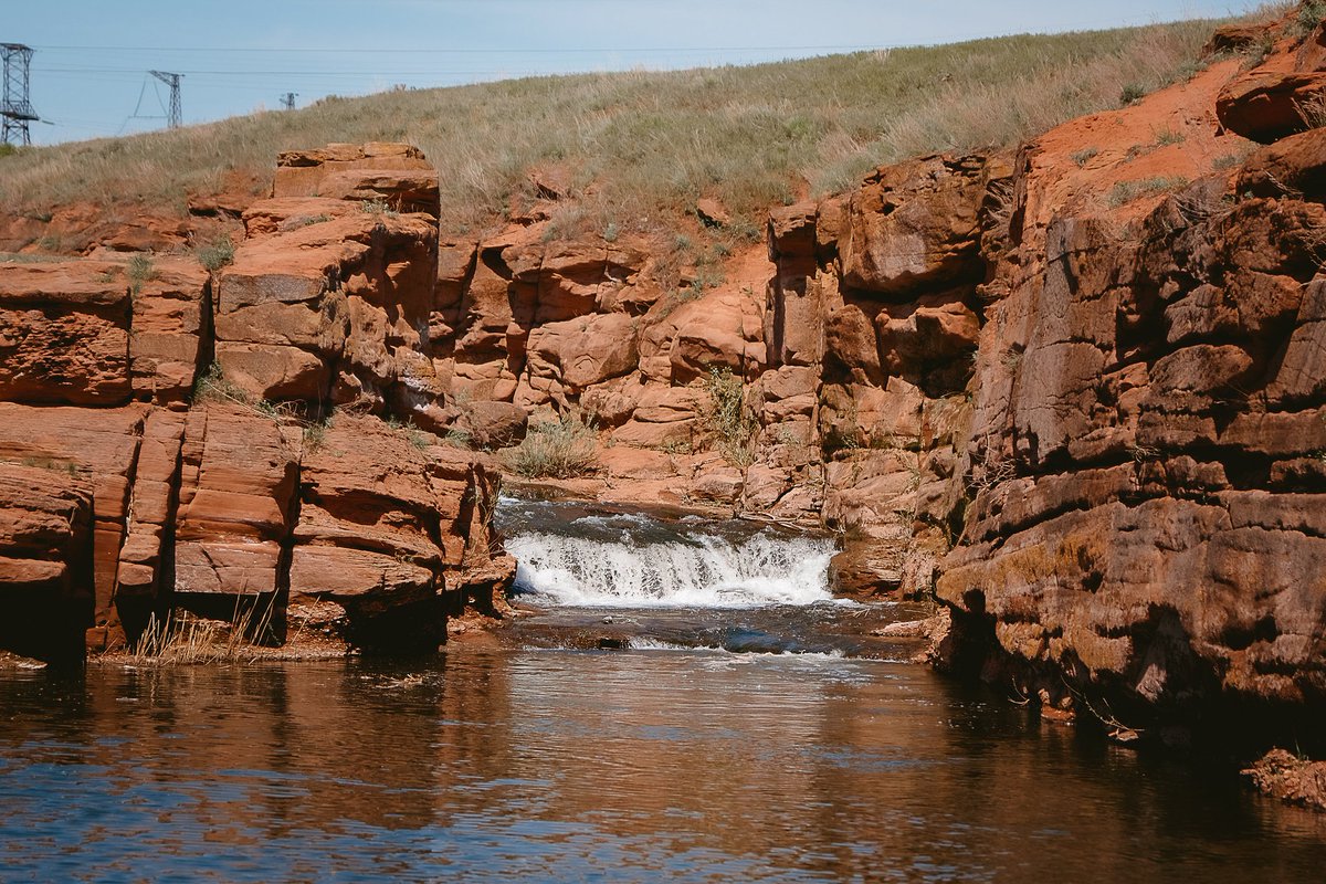 Johnny Rebel tweet media