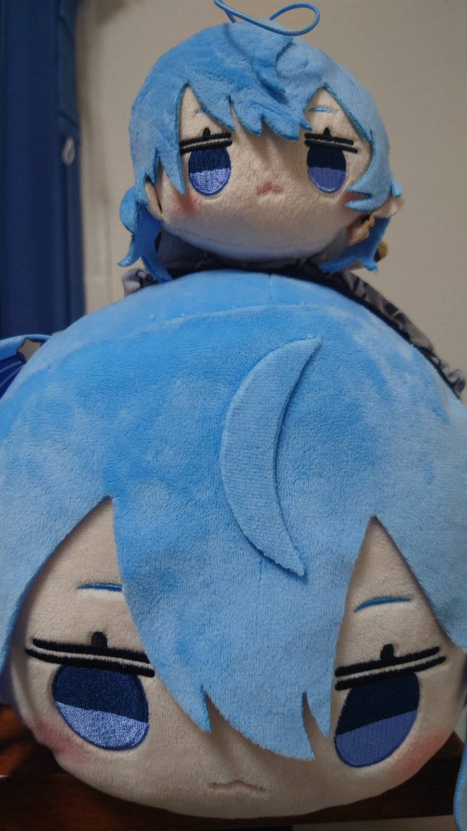 なんとなく取れるかな？ってゲーセンでクレーンゲームですいちゃんの寝そべり取れたんだけど、友人がちっこいのくれて何故か2段重ねになると言う。わけがわからない状況にwww