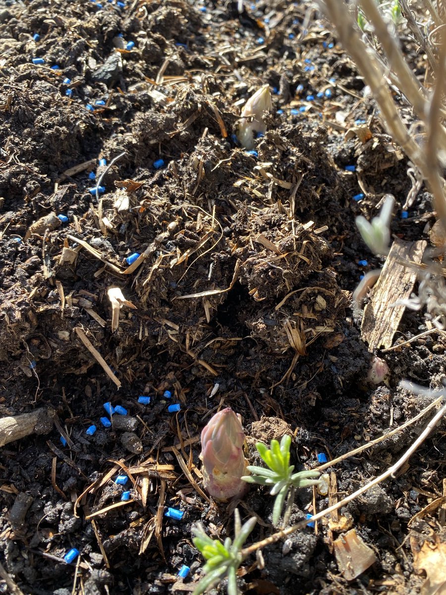 Steve Kitson tweet media