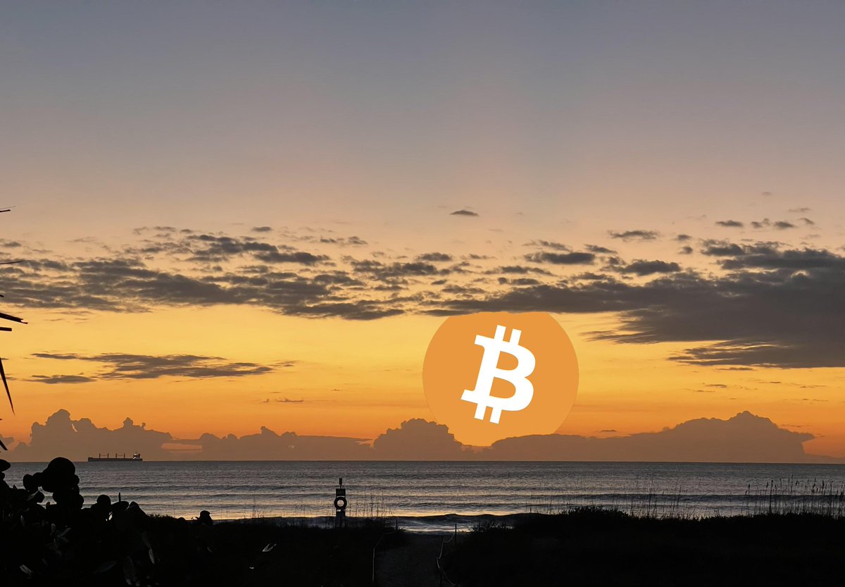 HODLTarantula(HT)🏴‍☠️Sovereign Maximalist tweet media