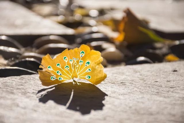 Brittany Parson tweet media