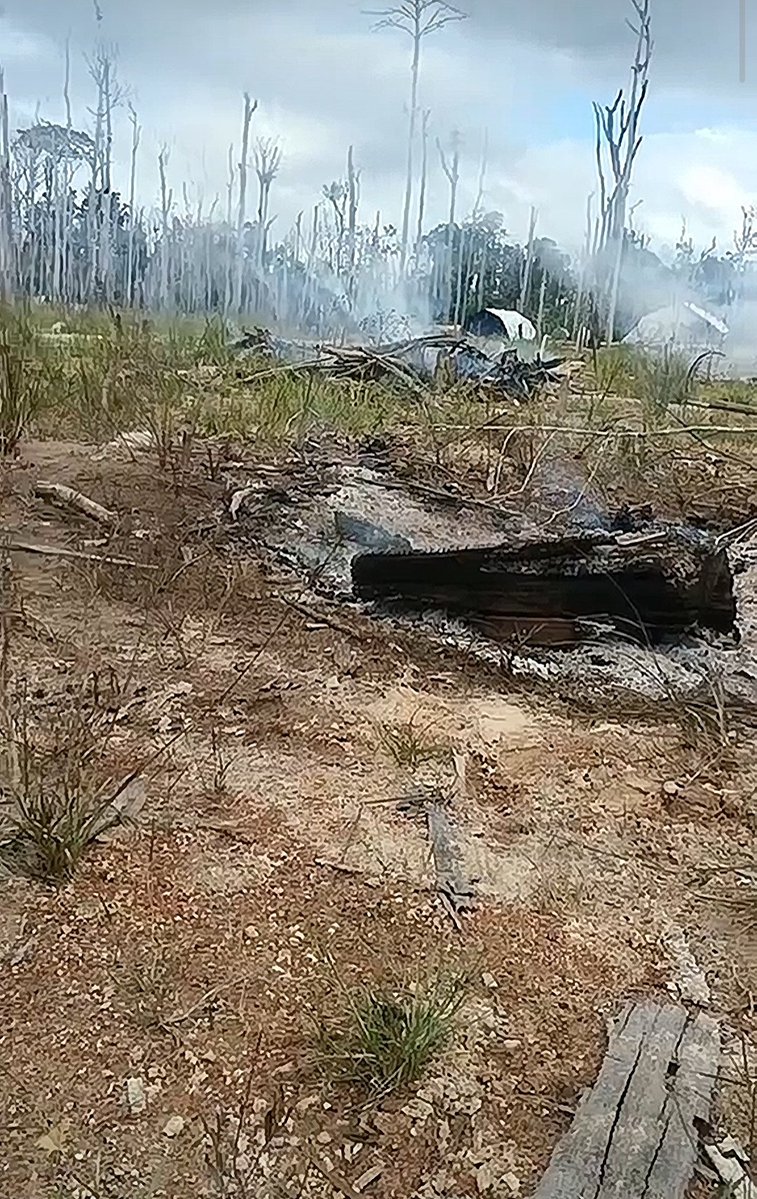 Fritz Sanchez tweet media