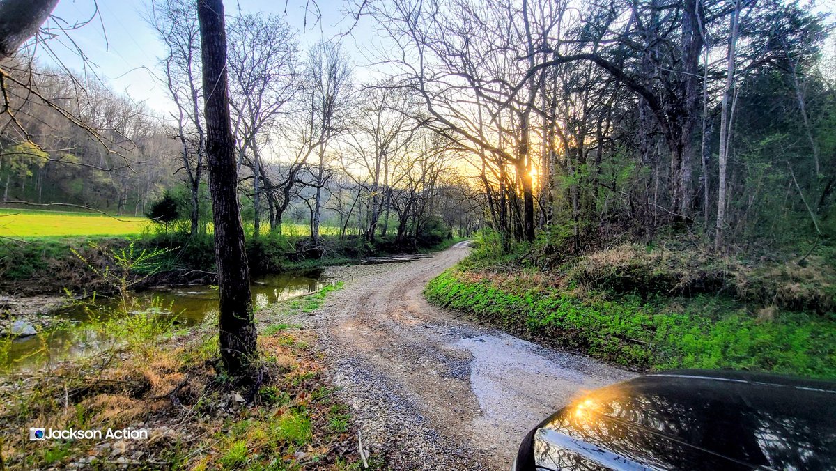 Jackson Action 📷 tweet media