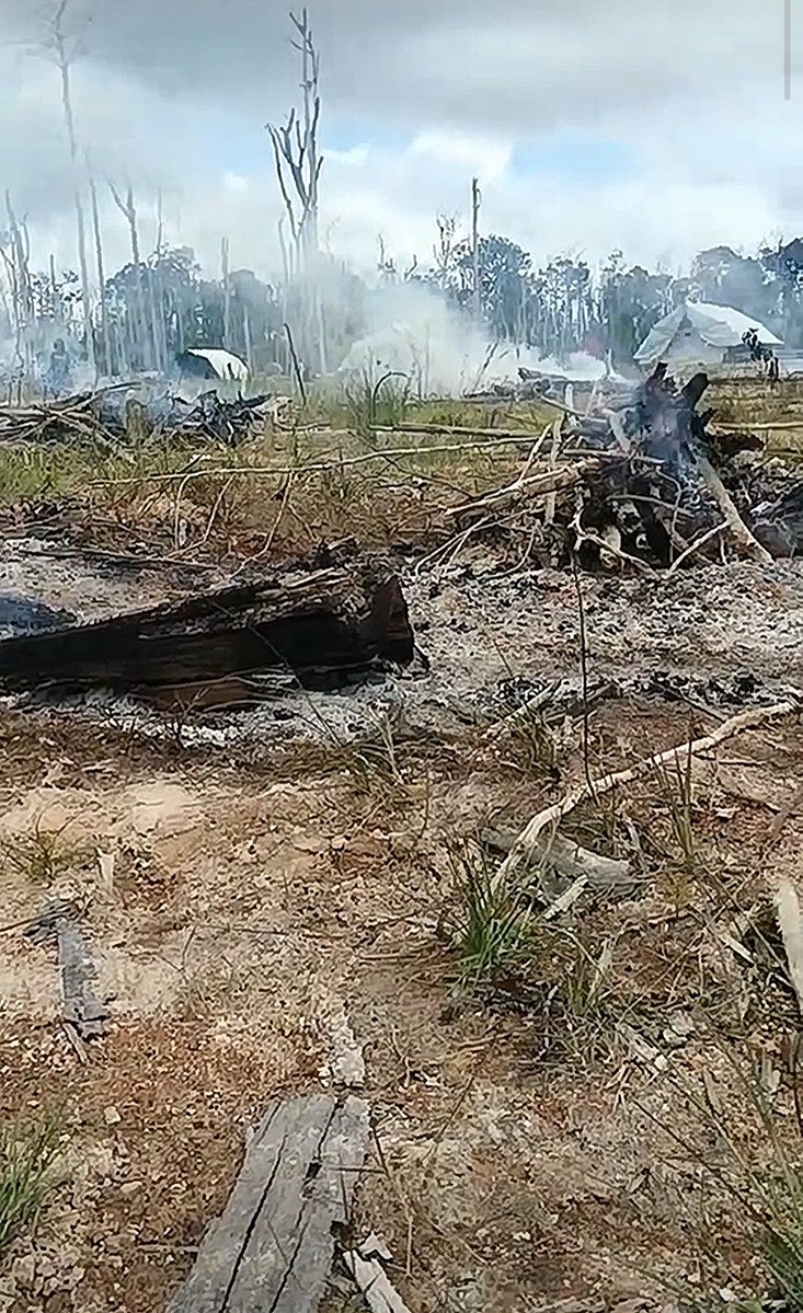 Fritz Sanchez tweet media