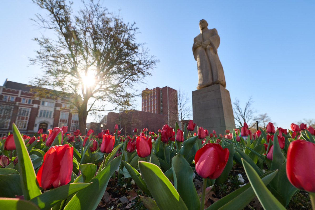 University of Oklahoma tweet media