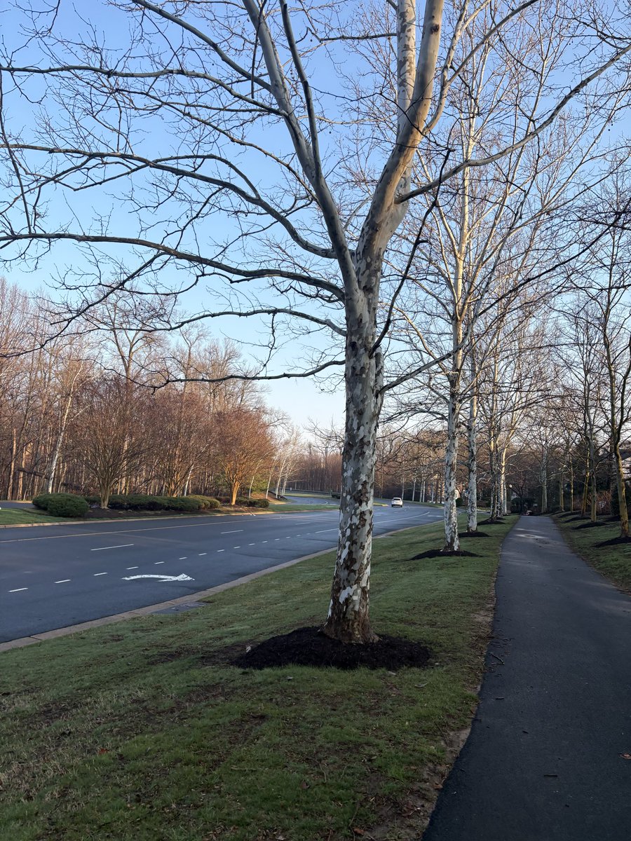 미국주식최신뉴스 tweet media