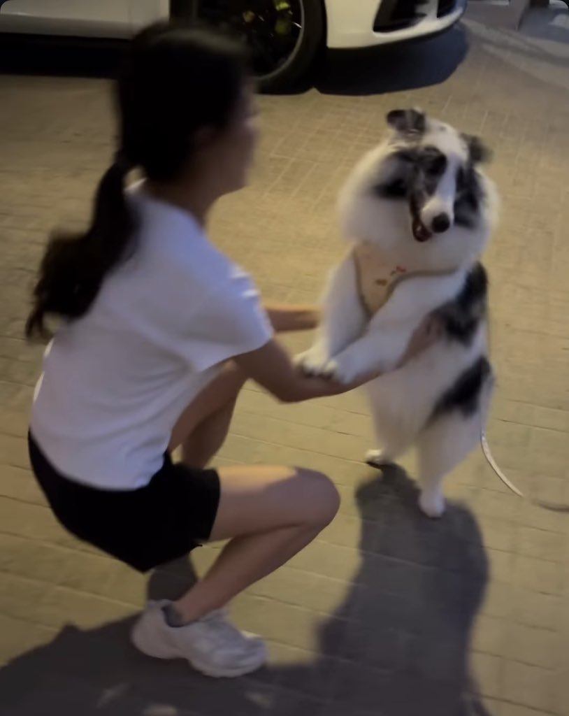 nanny-chan tweet media