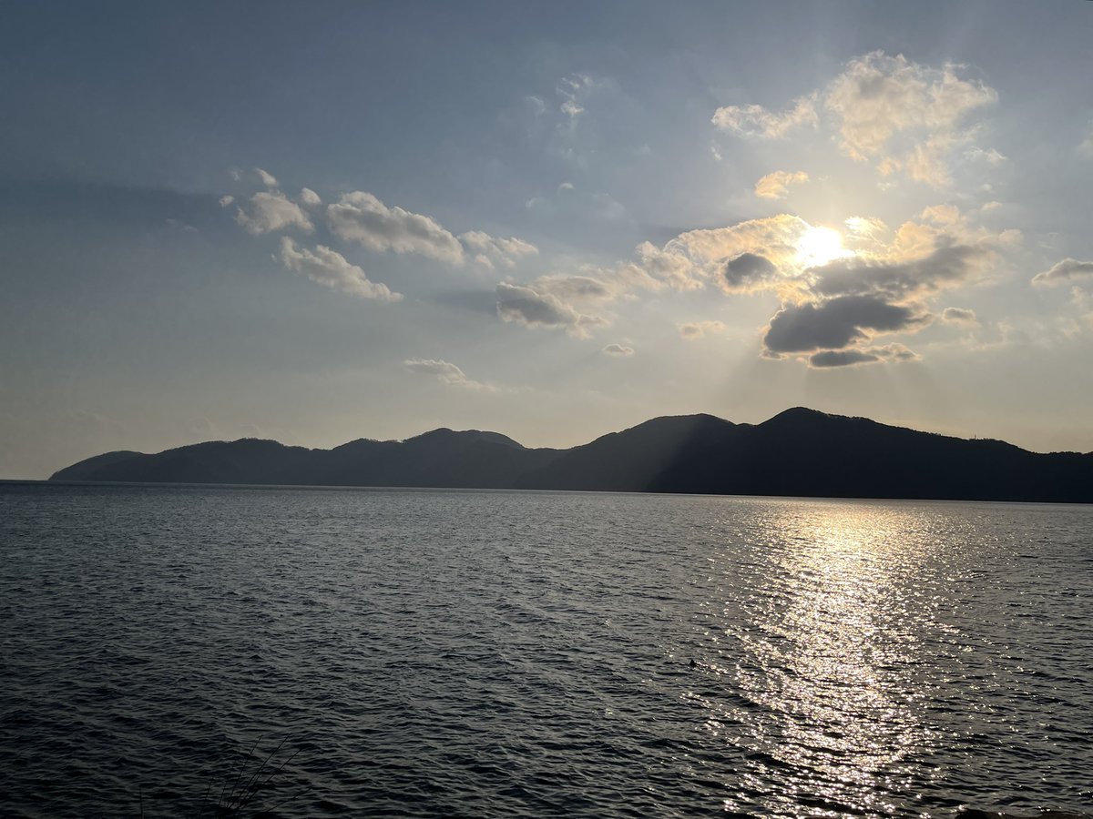 オオゼキタク tweet media