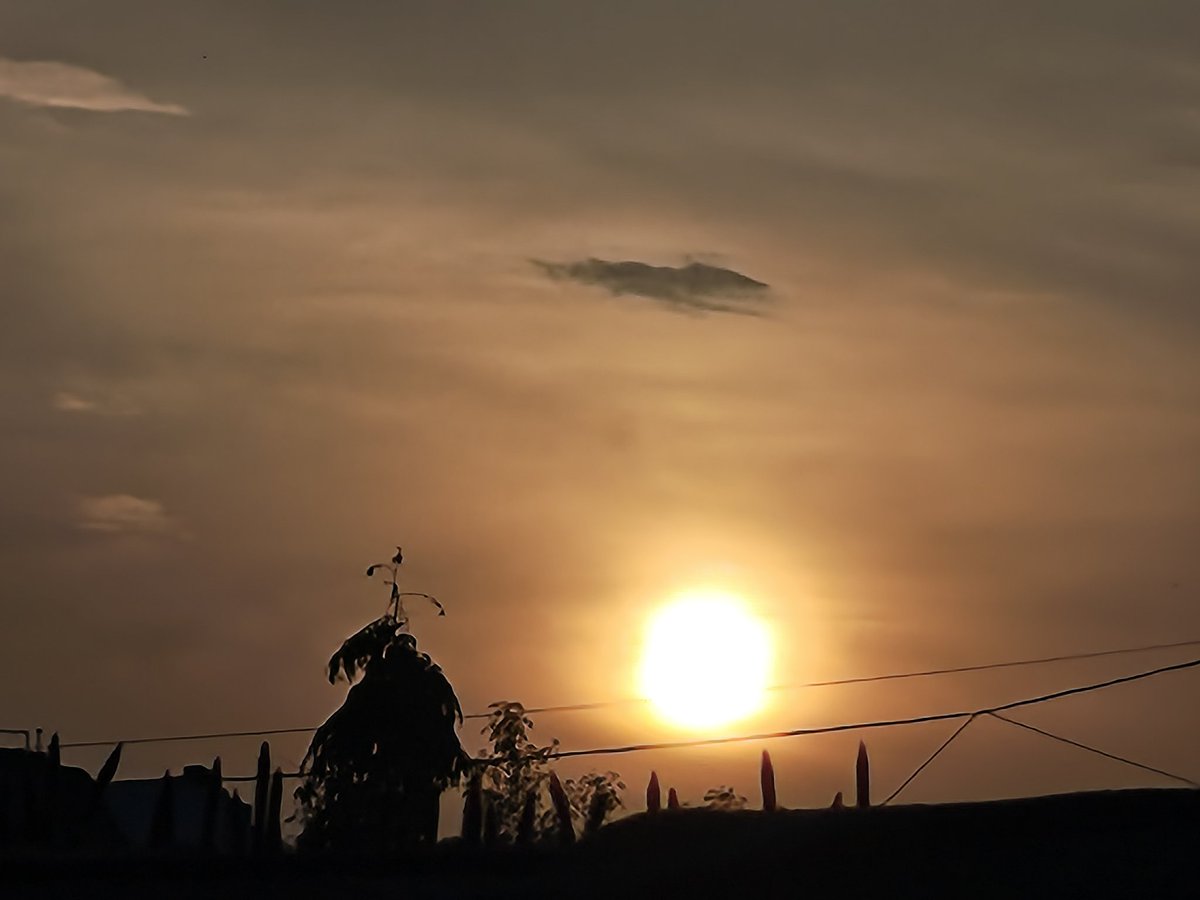 Athena.. என்கிற நான் ❤️ tweet media