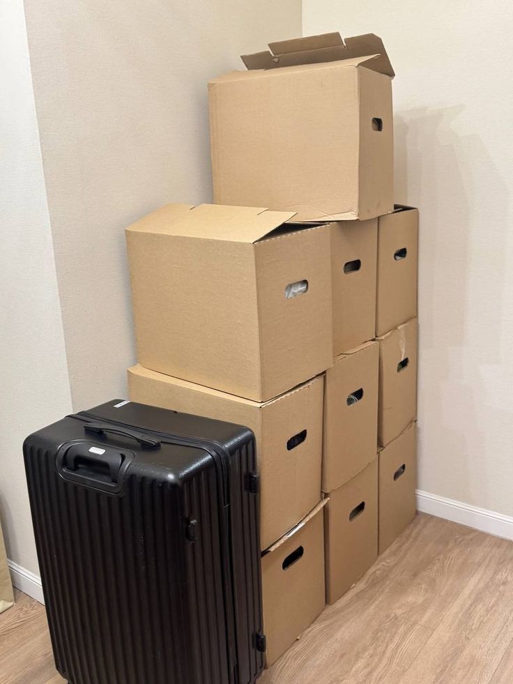 洪, Romentio. tweet media