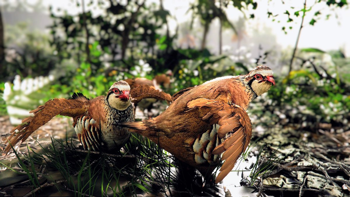 PhotoMode_Raro📷 tweet media