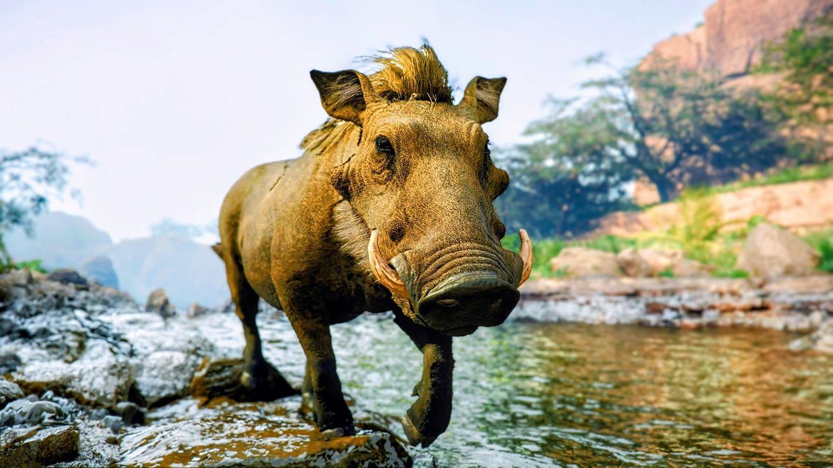 PhotoMode_Raro📷 tweet media