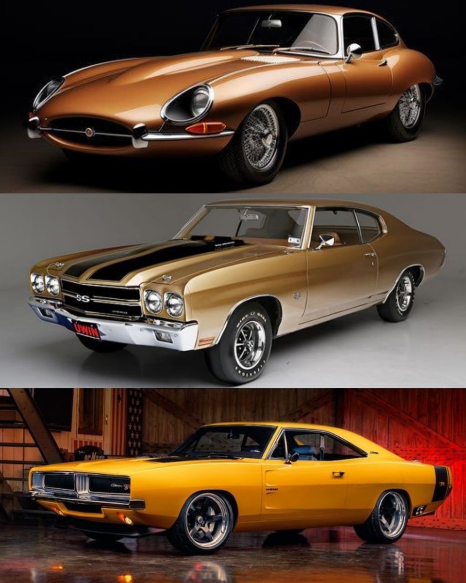 Vintage Cars Collection tweet media