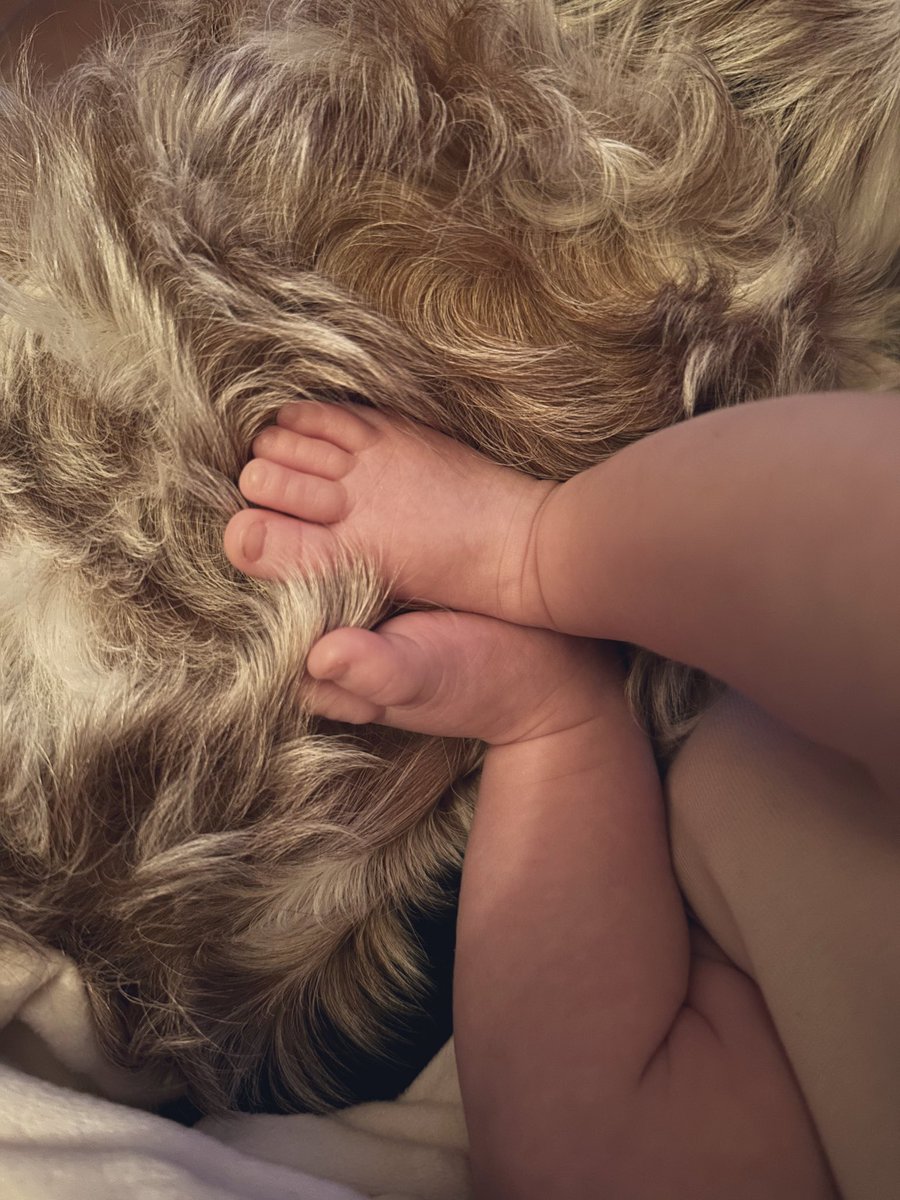 edurne91's tweet photo. There’s nothing like the first time, the first time we met 🎶🐣🥰 https://t.co/XIAmlemq4V