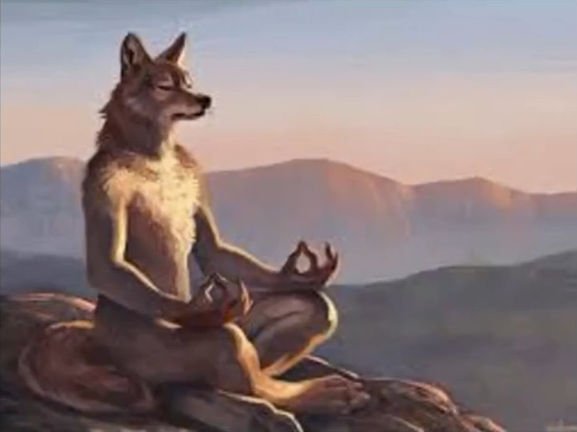 Leif ♥︎’s Caesar ✦彡 tweet media