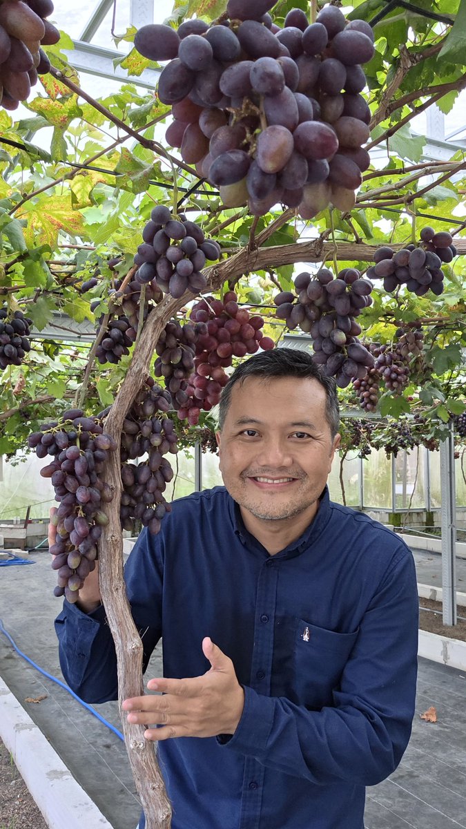 Ismail Fahmi tweet media