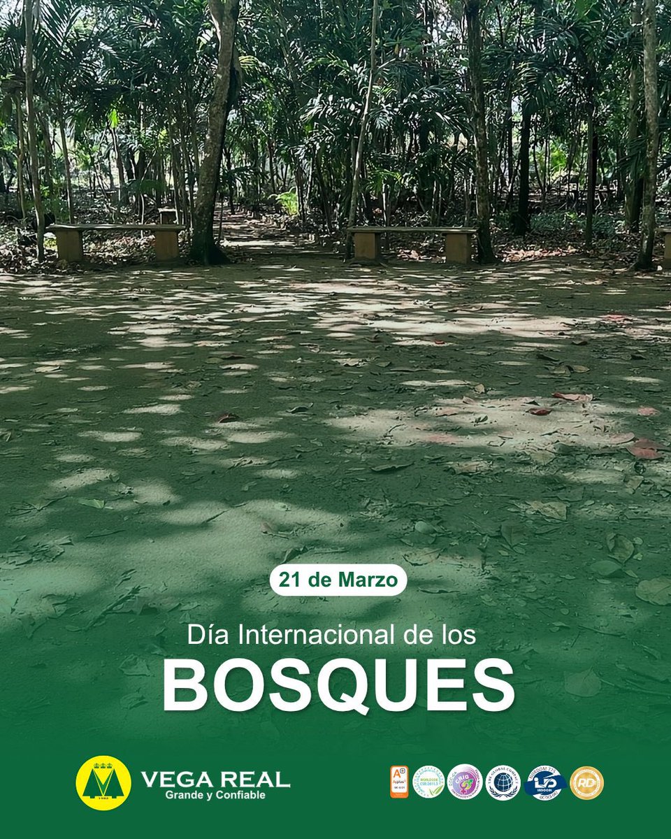 En el Día Internacional de los Bosques, promover la conciencia ambiental y la preservación de la vida forestal, reafirma el compromiso de Vega Real con proteger el medio ambiente y la sostenibilidad de los ecosistemas.