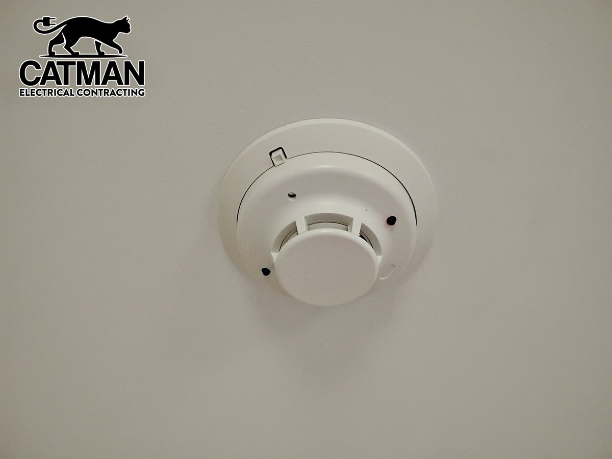 Catman Electrical Contracting tweet media
