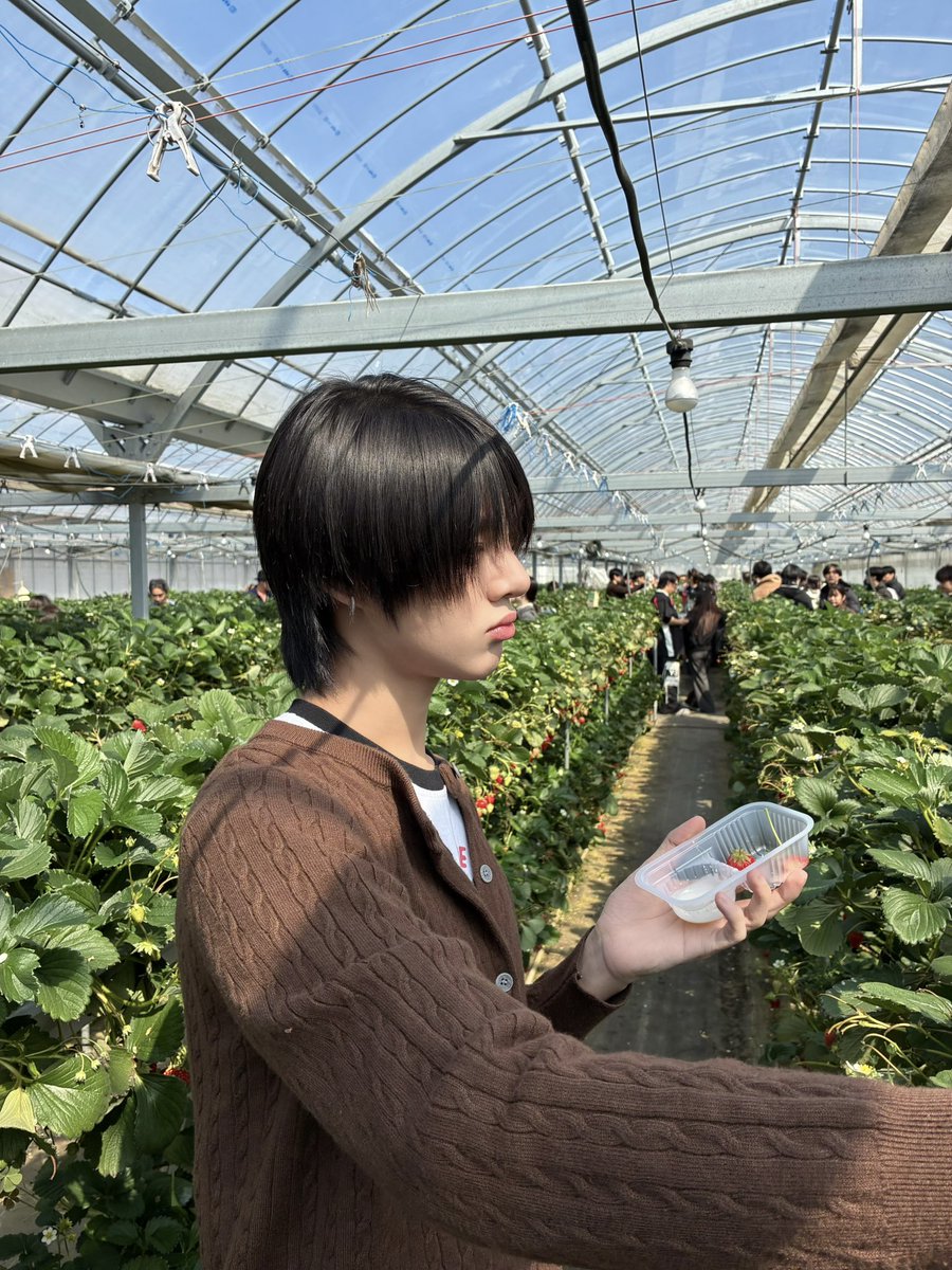 Ottoottoo tweet media