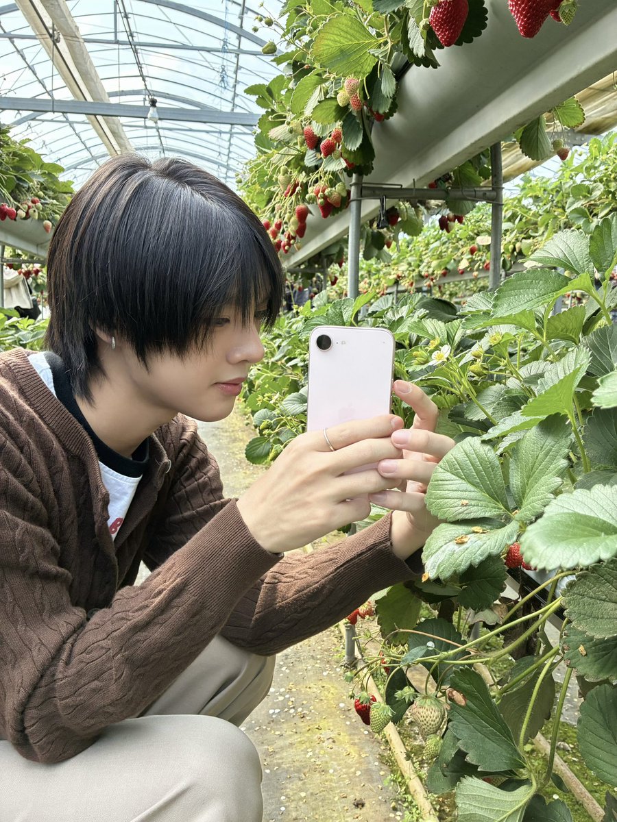 Ottoottoo tweet media