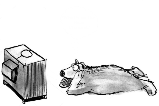 Chick Jacobs tweet media