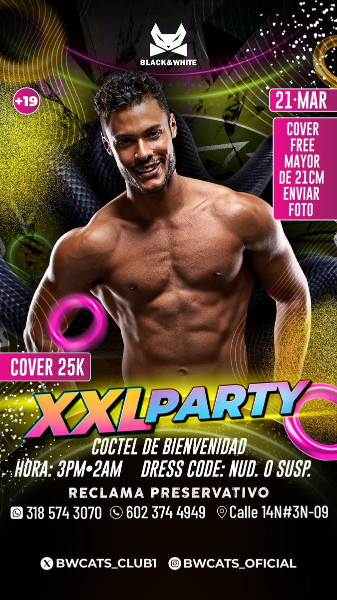 BLACK AND WHITE CATS tweet media