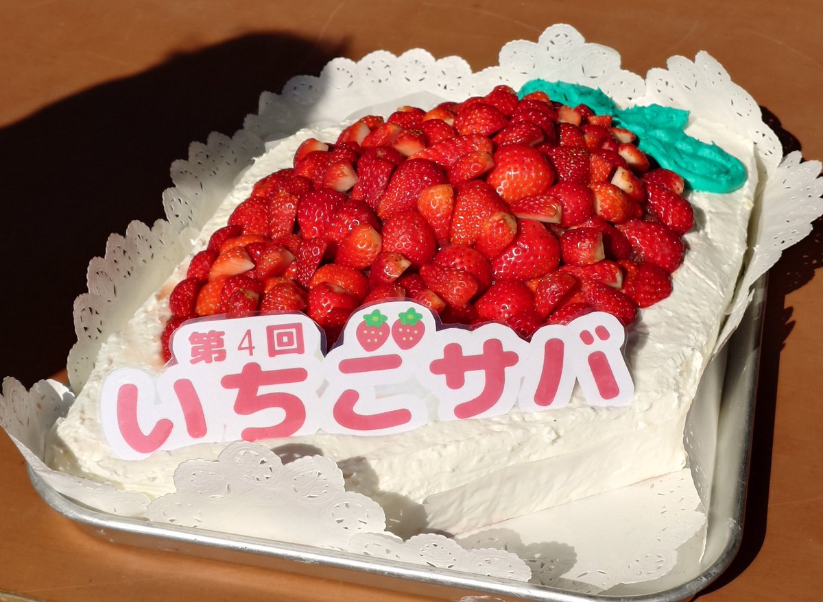 よしりん🦊🫏 tweet media