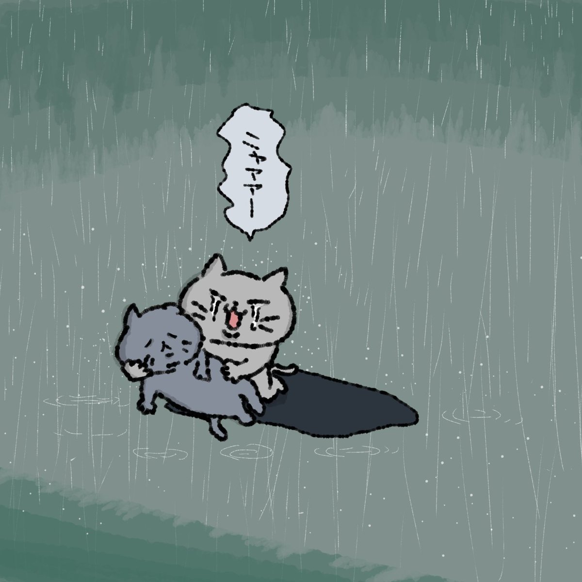 ぽんぽん tweet media