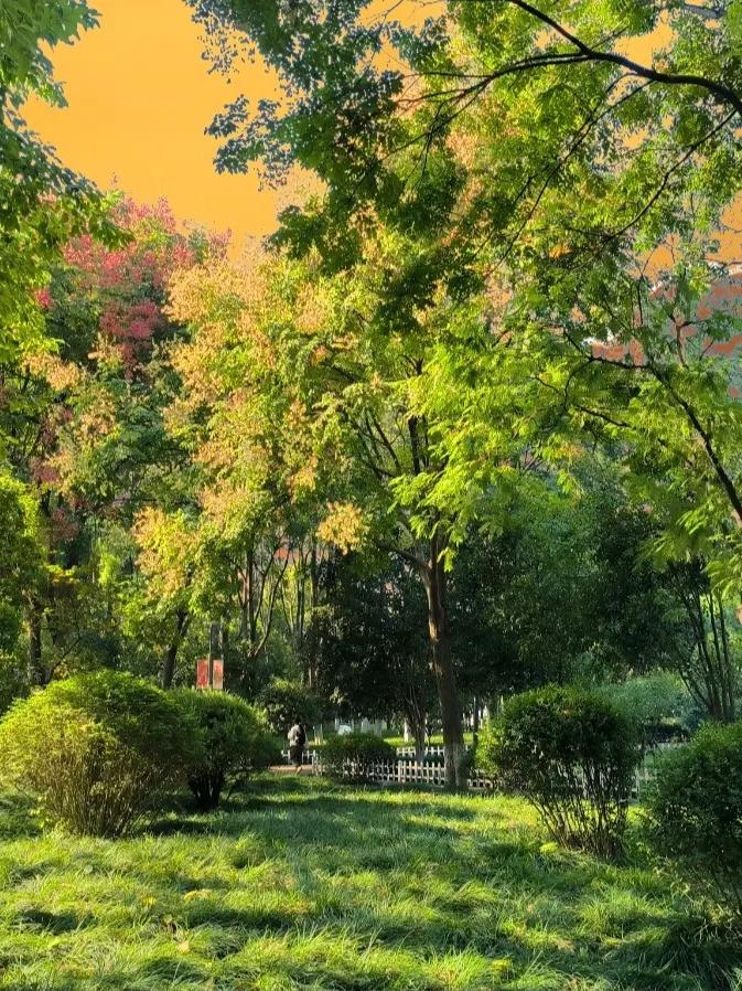 ㅍㅎㄴ tweet media