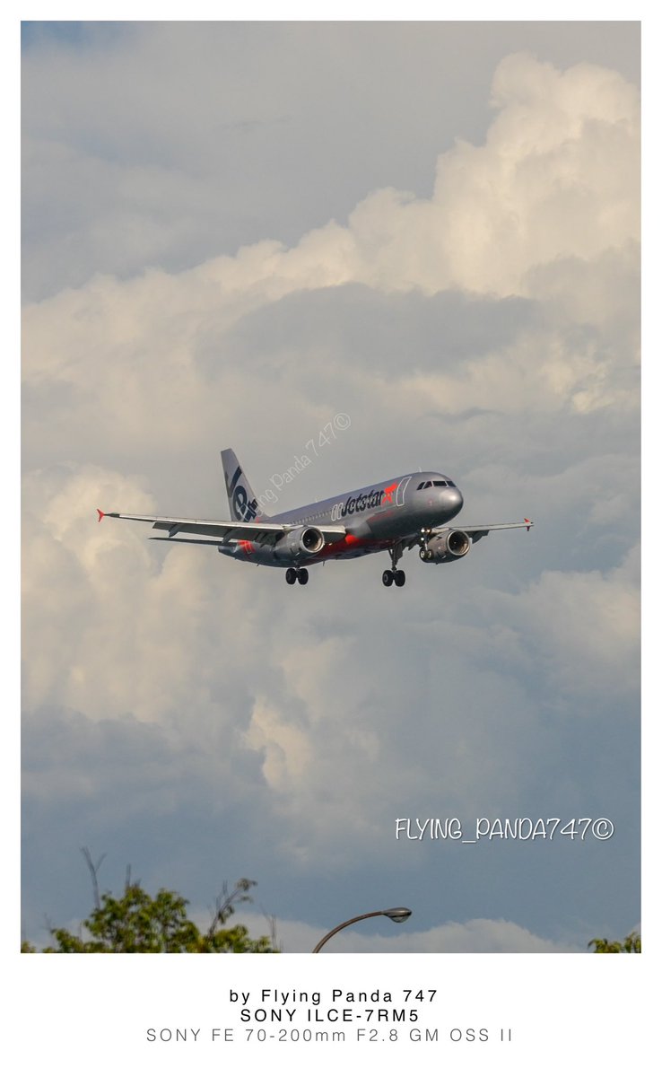 Flying Panda 747 tweet media